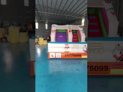 Tarpaulin 4x3m Komercyjny Nadmuchowy Slizgi Wodne Nadmuchowy Zamek Odbiórny Drukowanie jedwabiu