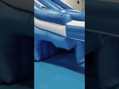 Komercyjny Giant Outdoor Inflatable Water Slide Octopus