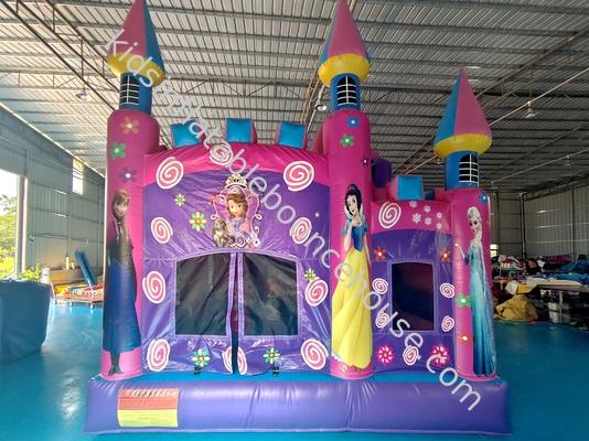 Komercyjny nowy projekt zamek na powietrze Disney Princess kreskówka nawigacyjny dom z slajdem zabawny dom skaczący